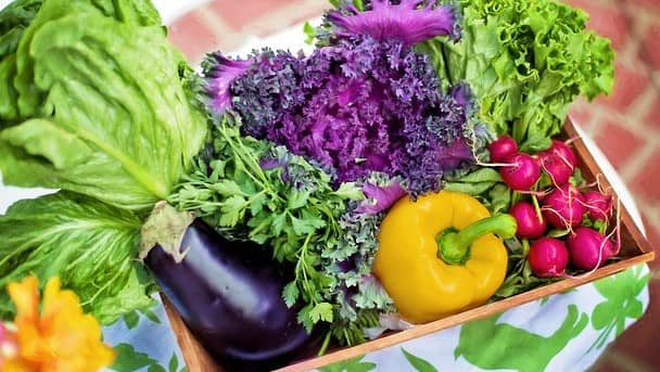 Hướng dẫn sử dụng thực phẩm đúng cách