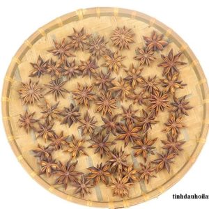 Giới thiêu· 5 Tinh dầu hổi Lạng Sơn Nguyên Chất