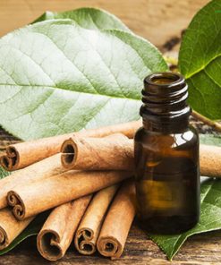 tinh dầu quế nguyên chất nhập khẩu Hàn Quốc