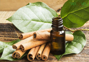 Giới thiêu· 7 tinh dầu quế nguyên chất nhập khẩu Hàn Quốc