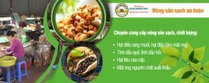 HÌnh ảnh sidebar nông sản sạch 24 Việt Nam