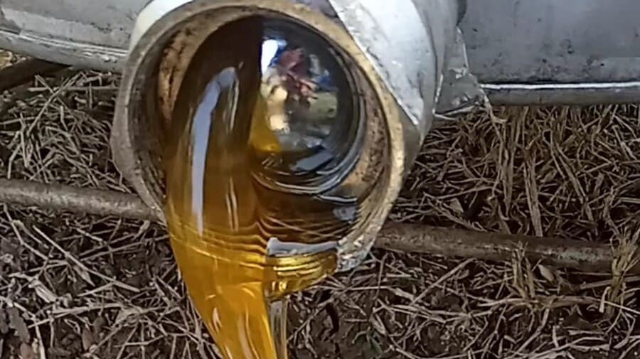 Mật ong hoa nhãn nguyên chất chai 1 lít 11 Đặc điểm nổi bật của mật ong nuôi hoa nhãn