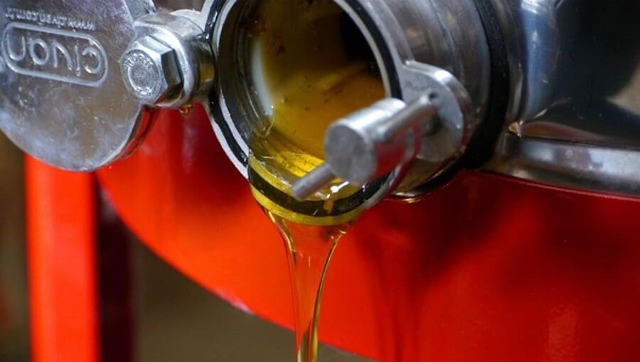 Nhân biết mật ong hoa vải