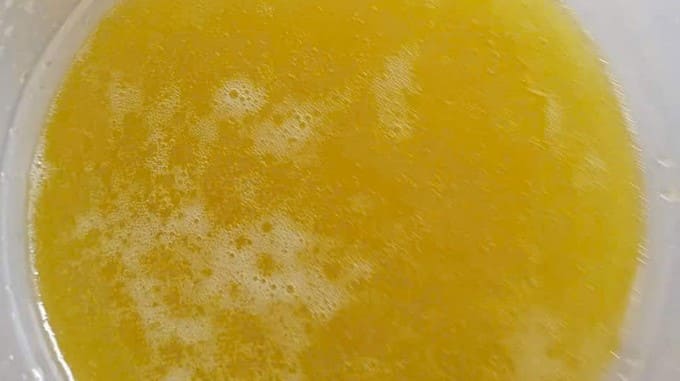 Mật ong bạc hà Hà Giang chai 1 lít nguyên chất 100% Giá tốt! 12 Đặc điểm mật ong bạc hà nguyên chất