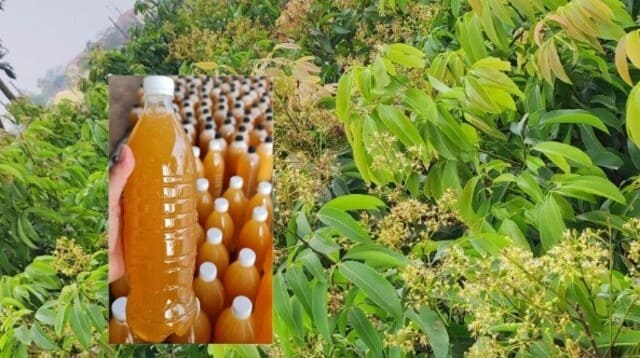 ð¿Mật ong hoa vải giá bao nhiêu? Top 1 nơi bán uy tín! 6 Giá mật on hoa vải tại các thời điểm trong năm