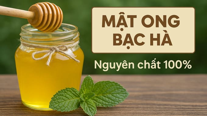 Mật ong bạc hà Hà Giang chai 1 lít nguyên chất 100% Giá tốt! 16 Mật ong bạc hà nguyên chất 100%
