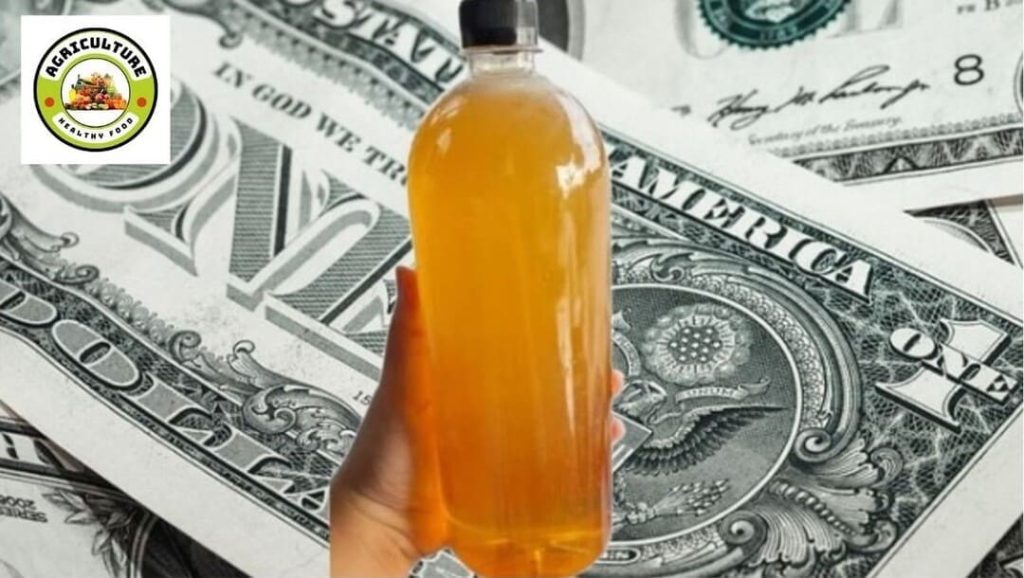 ð¿Mật ong hoa vải giá bao nhiêu? Top 1 nơi bán uy tín! 1 Mật ong hoa vải giá bao nhiêu