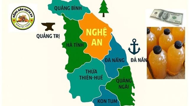 ð¿Mật ong hoa vải giá bao nhiêu? Top 1 nơi bán uy tín! 4 Mật ong hoa vải gia bao nhiêu tại miền Trung