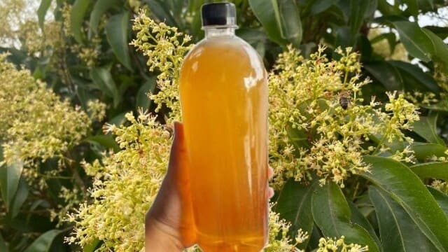 ð¿Mật ong hoa vải giá bao nhiêu? Top 1 nơi bán uy tín! 2 Khái niệm mật ong hoa vải là g ì