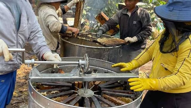ð¿Mật ong hoa cà phê nguyên chất 100% chai 1 lít,ð°Giá Tốt! 10 Quá trình thu hoạch mật ong hoa cà phê thủ công