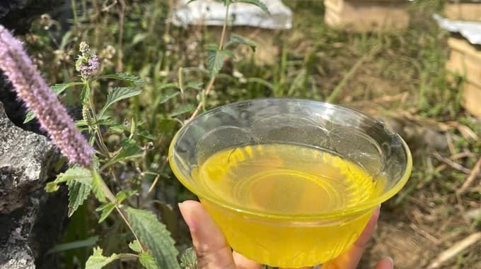 Mật ong bạc hà Hà Giang chai 1 lít nguyên chất 100% Giá tốt! 8 Thu hoạch mật ong bạc hà Hà Giang