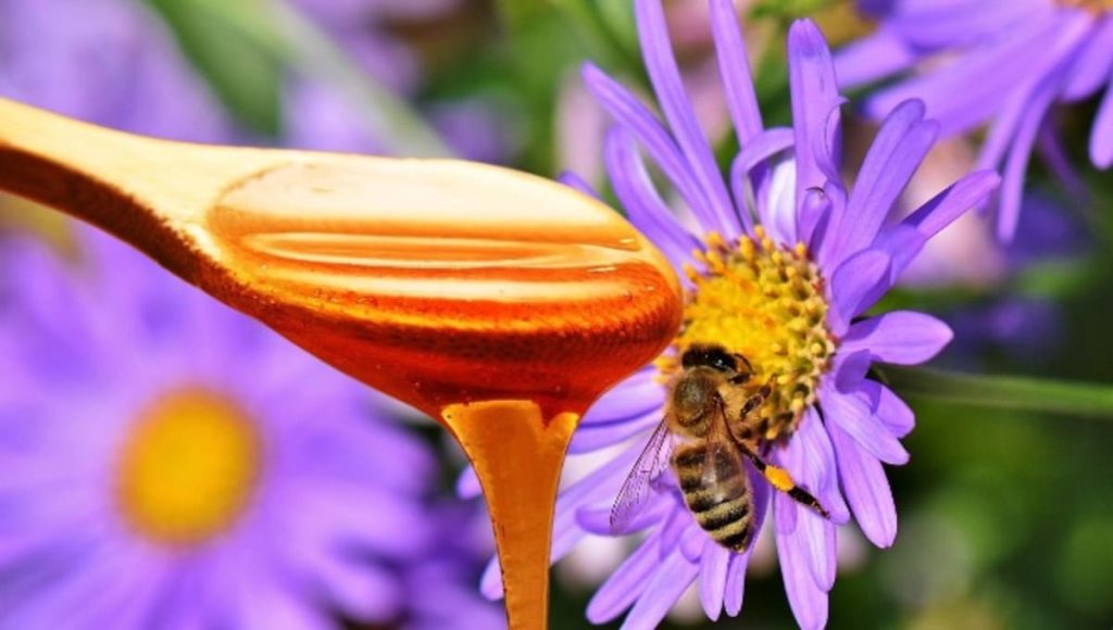 Top 20+ tác dụng của mật ong và mẹo dùng hiệu quả! 1 Tác dụng của mật ong