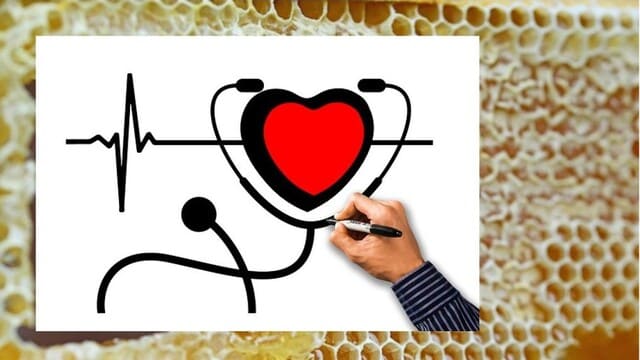 Top 20+ tác dụng của mật ong và mẹo dùng hiệu quả! 5 Tác dụng của mật ong tốt cho sức khỏe tim mạch