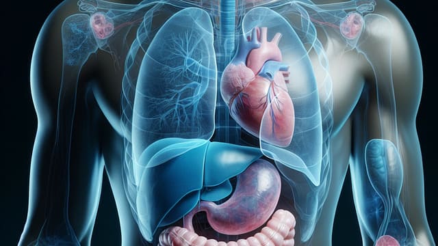 Top 20+ tác dụng của mật ong và mẹo dùng hiệu quả! 27 Tác dụng của mật ong với người có bệnh lý về gan