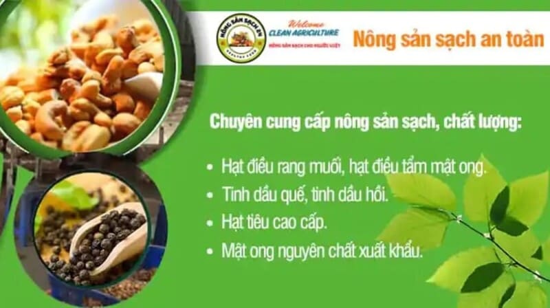 Uống mật ong có tác dụng gì? 9 lợi ích vàng & cách uống đúng 26 Mật ong thương hiệu Nông sản sạch 24 Việt Nam