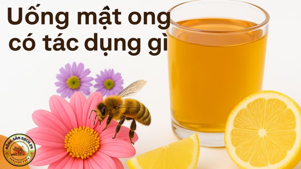 Uống mật ong có tác dụng gì? 9 lợi ích vàng & cách uống đúng 1 Uống mật ong có tác dụng gì?