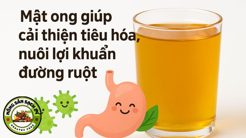 Uống mật ong có tác dụng gì? 9 lợi ích vàng & cách uống đúng 9 Uống mật ong có tác dụng gì cho hệ tiêu hóa