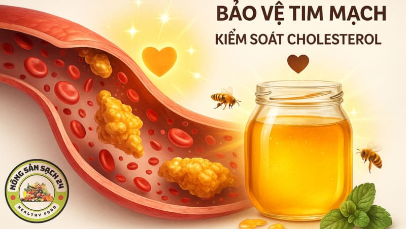 Uống mật ong có tác dụng gì? 9 lợi ích vàng & cách uống đúng 11 Uống mật ong có tác dụng gì để bảo vệ tim mạch