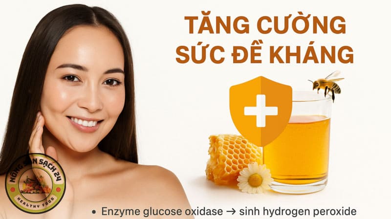 Uống mật ong có tác dụng gì? 9 lợi ích vàng & cách uống đúng 4 Uống mật ong có tác dụng tăng sức đề kháng cơ thể