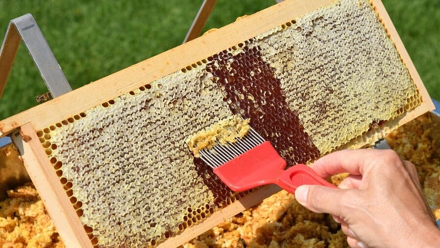 Máu nhiễm mỡ có uống được mật ong không? 8 cách uống đúng 18 Chọn mật ong không pha đường để uống hạ mỡ máu