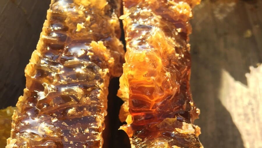 Máu nhiễm mỡ có uống được mật ong không? 8 cách uống đúng 19 Mật ong rừng hay mật ong nuôi tốt cho người mỡ máu