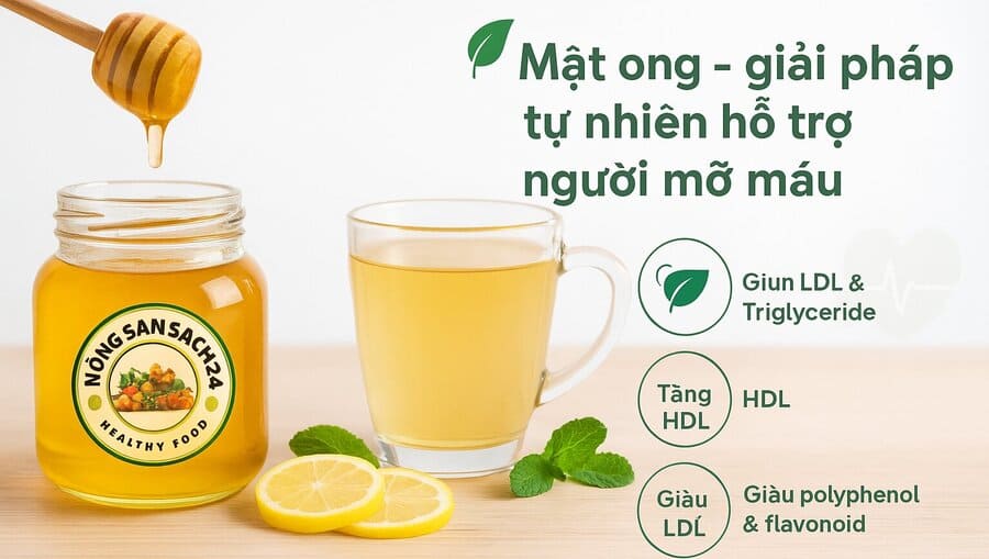 Máu nhiễm mỡ có uống được mật ong không? 8 cách uống đúng 12 Tác dụng của mật ong ở người bệnh mỡ máu