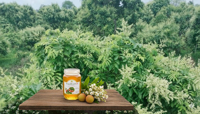 Mật ong hoa vải có màu gì? 3 cách nhận biết chính xác nhất! 7 Màu mật ong hoa vải nói nên điều gì?