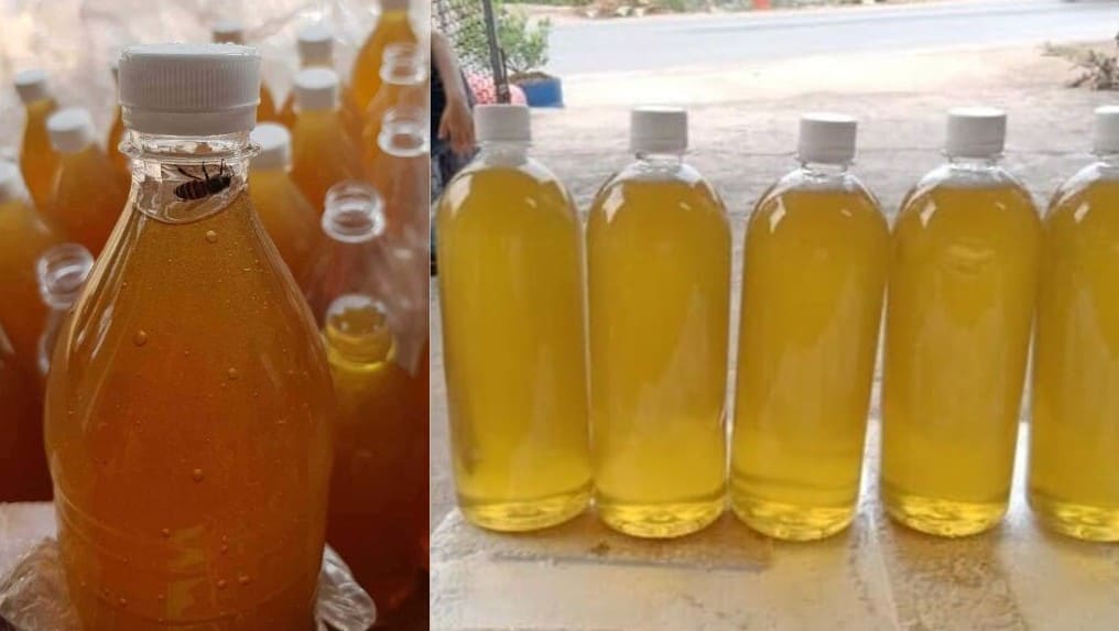 Mật ong hoa vải có màu gì? 3 cách nhận biết chính xác nhất! 4 Màu sắc mật ong hoa vai không khác nhau nhiều