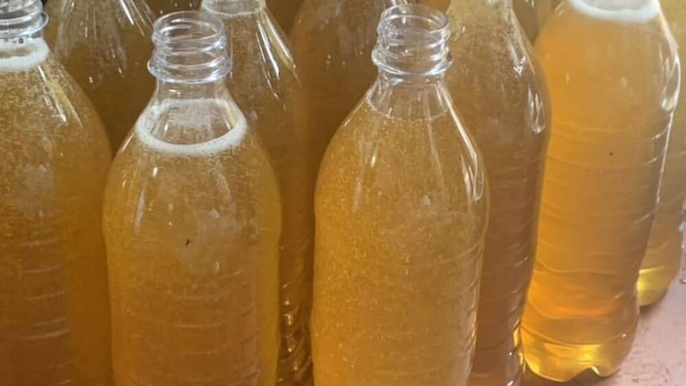 Mật ong hoa vải có màu gì? 3 cách nhận biết chính xác nhất! 8 Màu sắc mật vải nguyên chất