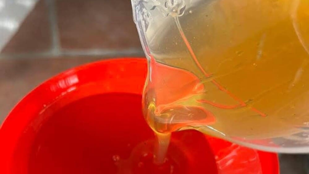 Mật ong hoa vải có màu gì? 3 cách nhận biết chính xác nhất! 6 Quan sát màu sắc mật ong hoa vải tự nhiên