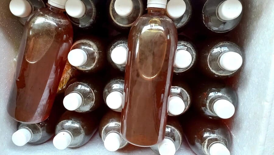 Có nên mua mật ong nhãn đúng mùa không?