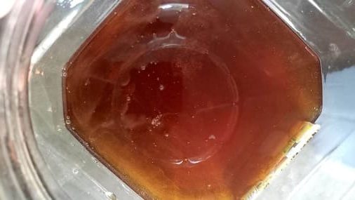 Mật ong hoa nhãn khi khai thác đúng mùa.