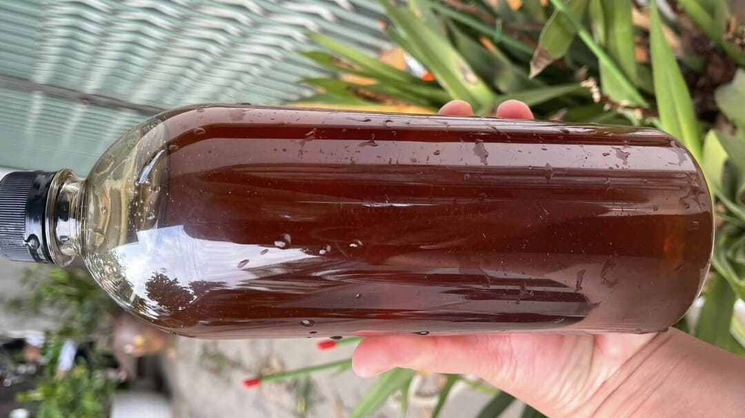 Mùa mật ong nhãn diễn ra vào thời điểm nào?