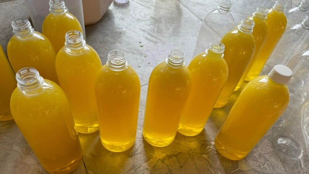 Mật ong hoa nhãn có tốt không? Có đáng mua không? Vì sao? 16 So sánh mật ong hoa bạc hà với mật ong hoa nhãn
